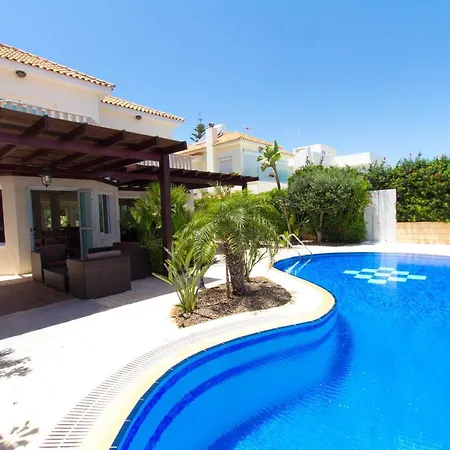 Sea Holly Front Line