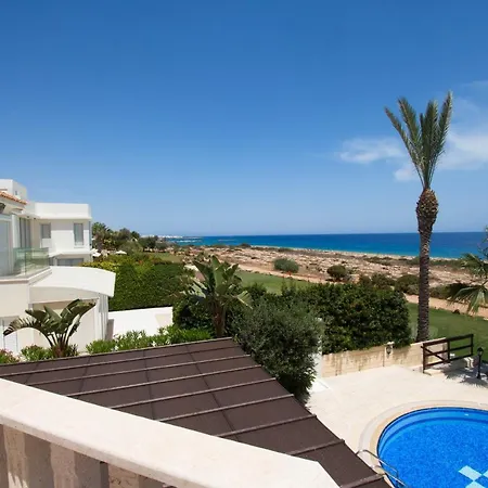 Sea Holly Front Line Protaras