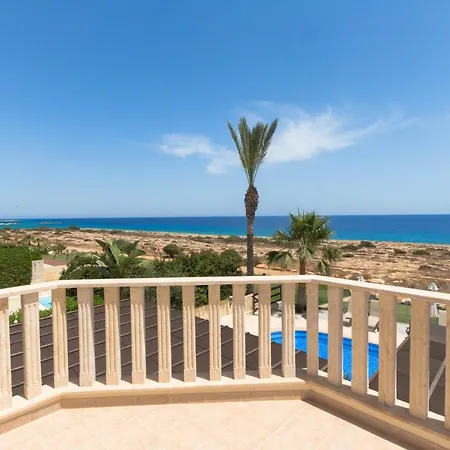 Sea Holly Front Line * Protaras