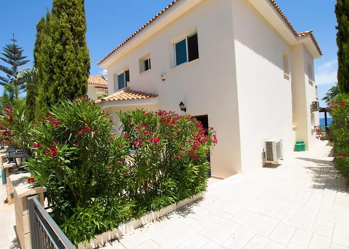 Sea Holly Front Line *