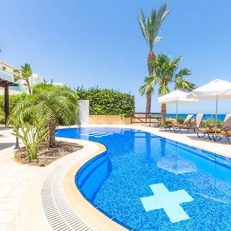 Sea Holly Front Line 프로타라스