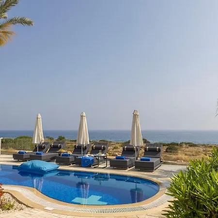 Sea Holly Front Line Protaras