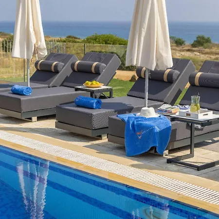 Sea Holly Front Line Protaras