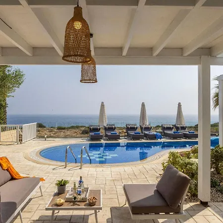 Sea Holly Front Line * Protaras