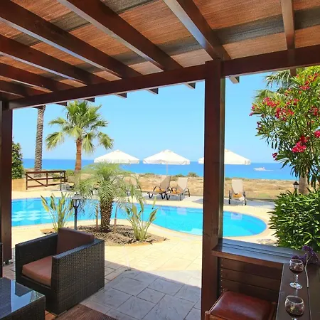 Sea Holly Front Line