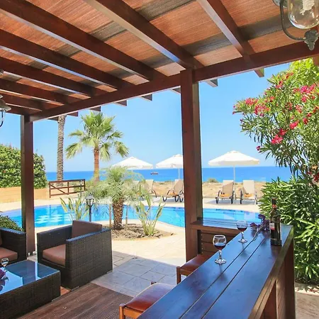 Sea Holly Front Line