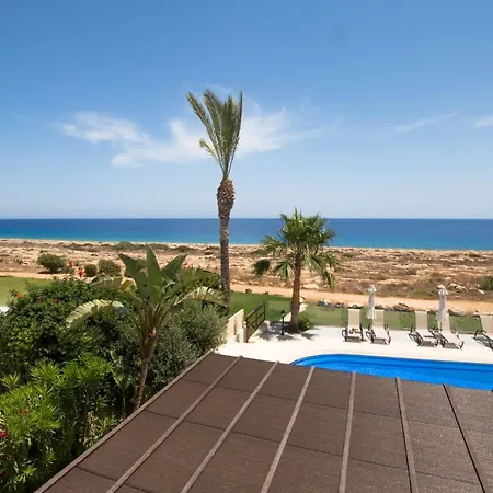 Sea Holly Front Line *