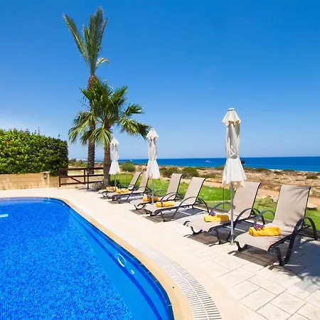 Sea Holly Front Line *