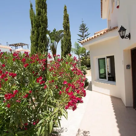 Sea Holly Front Line