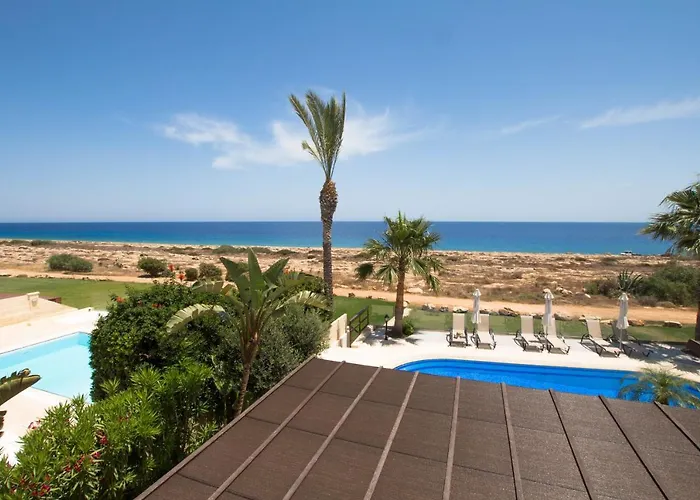 Sea Holly Front Line *